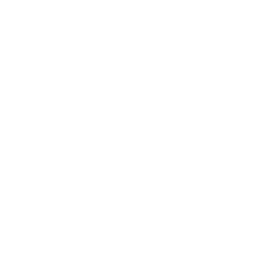 Partner logo 12